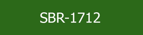 آنالیز مواد SBR-1712  پتروشیمی بندر امام