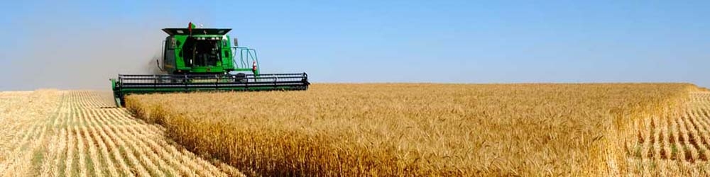 یک چهارم بودجه 98 به واردات نهاده‌های کشاورزی اختصاص دارد