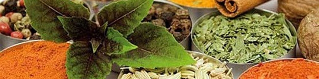 اتحادیه ملی گیاهان دارویی کشور تشکیل می‌شود