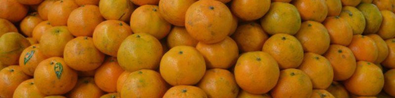 ممنوعیت صادرات سیب و پرتقال از 15 اسفند