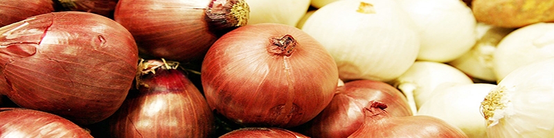 الاکلنگ گوجه‌فرنگی و پیاز