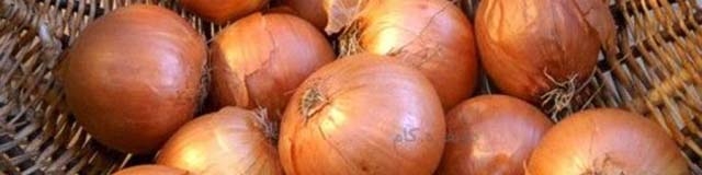 قیمت پیاز در میدان مرکزی به ۶ هزار تومان کاهش یافت