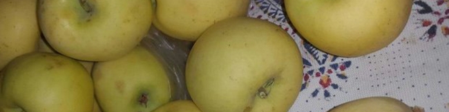 واکنش تولیدکنندگان به فساد میوه‌های تنظیم بازاری