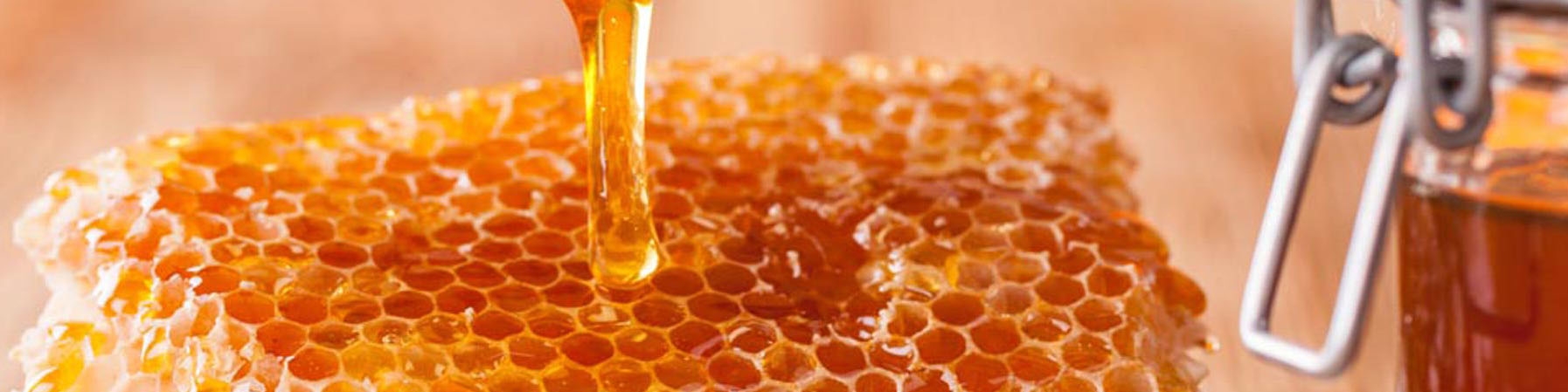 امکان تولید بیش از ۳۰۰ محصول از فرآورده‌های عسل در کشور/  وضعیت نامطلوب صنعت زنبورداری