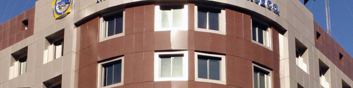 عرضه 50 هزار تن مواد پلیمری در بورس کالا