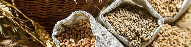 نیازمند سیاست‌های حمایتی متعدد جهت جلوگیری از شوک در قیمت نان هستیم