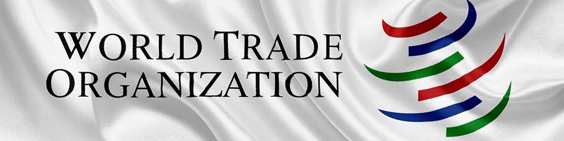 آماده سازی برای پیوستن به WTO