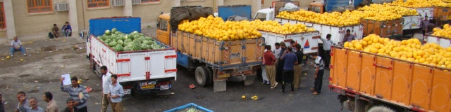 پیش‌بینی اخذ عوارض واردات محصولات کشاورزی در بودجه