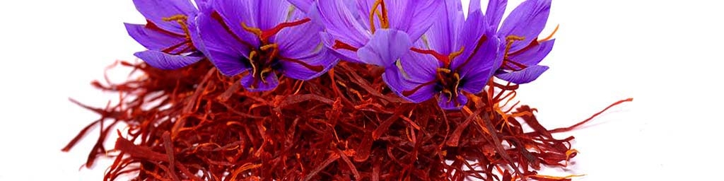 هر کیلو زعفران اعلاء ۱۱ میلیون تومان