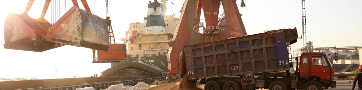 ترخیص جو منوط به تاییدیه وزارت جهاد کشاورزی شد