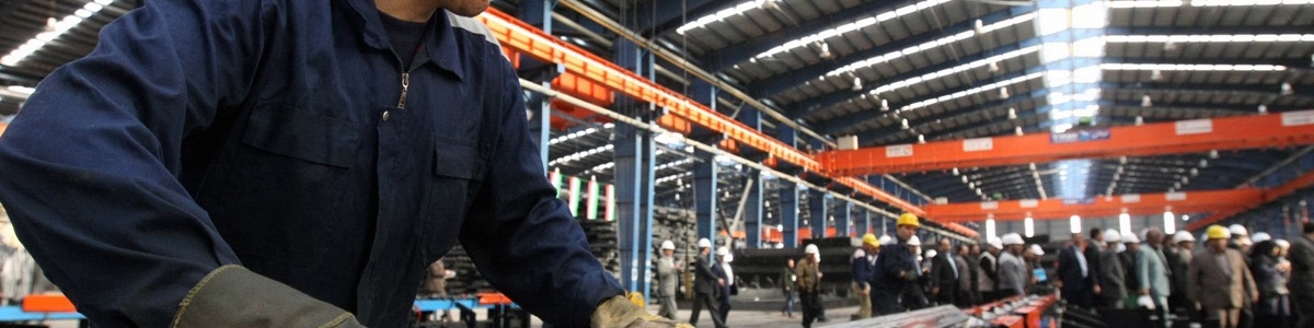 استاد دانشگاه: افزایش ۲۱درصدی حقوق کارگران معقولانه و درست بود