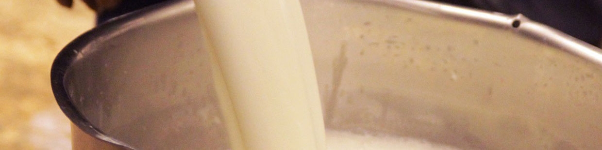 خرید شیرخام از دامداران کاهش یافت