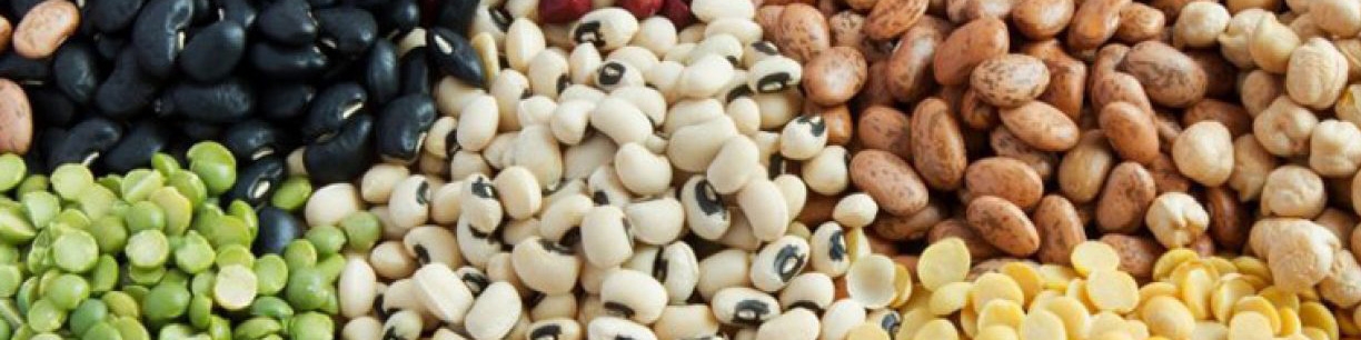 قیمت حبوبات کاهش می‌یابد