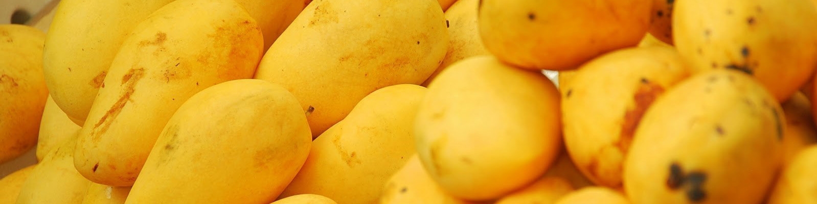 تلاش پاکستان برای تسهیل صادرات انبه به ایران