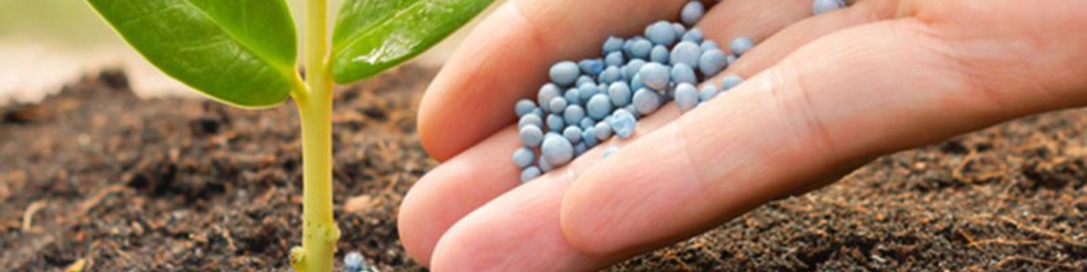 کمبود و گرانی سرسام آور کود و سموم کشاورزی در بازار