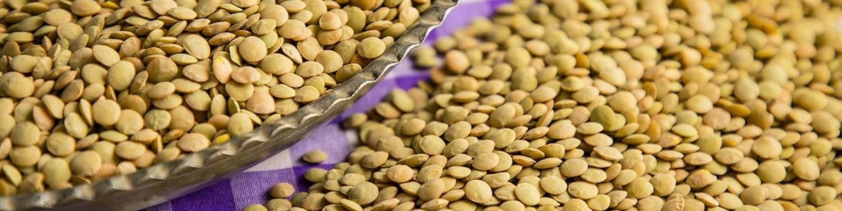 عدس، صدرنشین افزایش قیمت در بین کالاهای اساسی