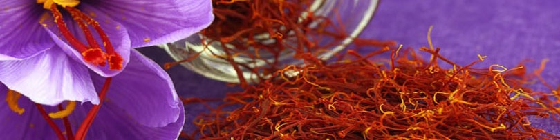 رشد ۱۵ درصدی تولید طلای سرخ در راه است