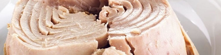 صنعت کنسرو ماهی گرفتار عدم تخصیص ارز