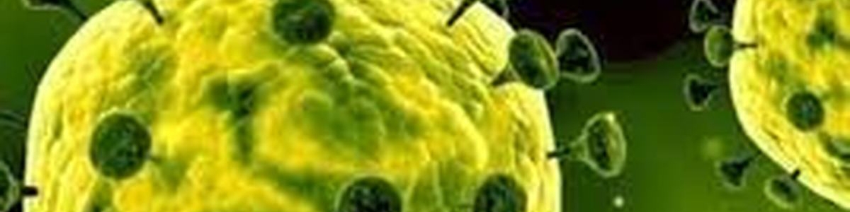 بانک‌های مرکزی برای مقابله با کرونا چه کردند؟