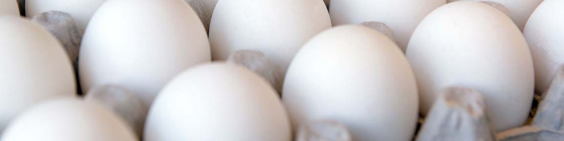 تخم مرغ شانه‌ای ۲۰ هزار تومان عرضه می‌شود