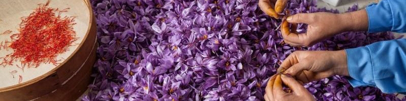 برگزاری میز ملی صادرات زعفران در هفته جاری