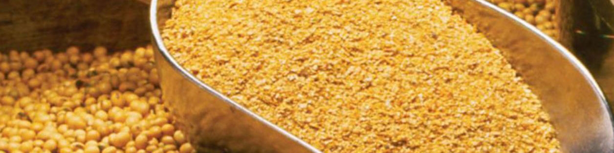 ماموریت شرکت پشتیبانی امور دام برای تامین ۵۰۰ هزار تن کنجاله سویا