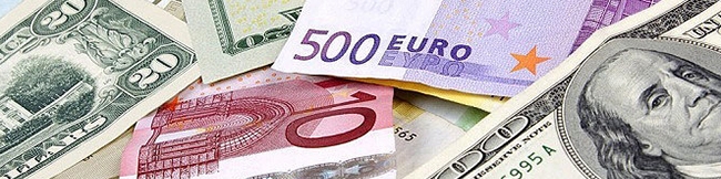 عرضه روزانه ۱۰۰ میلیون یورو در نیما و سنا توسط صادرکنندگان