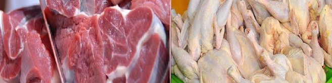 قیمت گوشت و مرغ کاهشی می شود/ شناسایی دلایل اصلی گرانی مواد غذایی