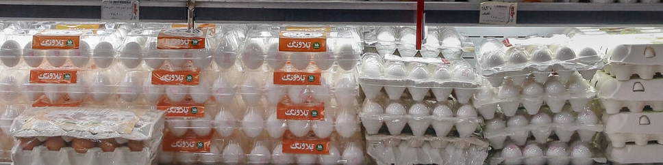 تخم مرغ در بازار شانه‌ای ۳۰ هزارتومان شد