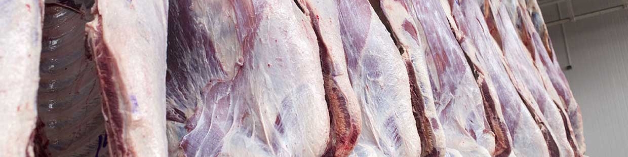 افزایش نرخ خرید حمایتی گوشت قرمز از دامداران/ تا پایان سال افزیش قیمت برای مصرف‌کننده نخواهیم داشت