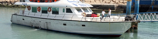 معاون وزیر راه:سازمان بنادر به شناورسازان داخلی تسهیلات ارزان قیمت می دهد