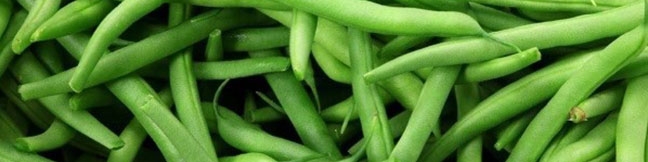 کاهش قیمت لوبیا سبز ظرف ۲۰ روز آینده/ عرضه نارنگی رو به پایان است