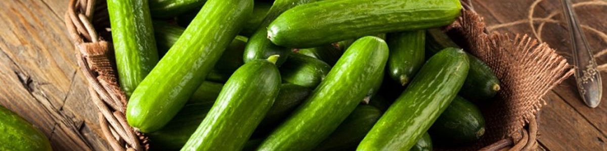 افزایش شدید قیمت خیار/ نرخ به ۲۰ هزار تومان رسید