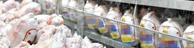 تنظیم بازار مرغ به وزارت کشاورزی سپرده شد