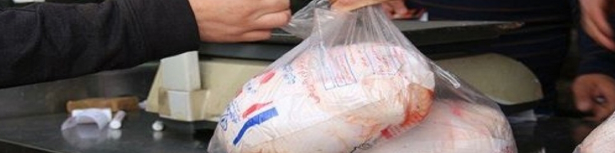 قیمت مرغ کاهش یافت/ برای تثبیت قیمت باید تولید 15 درصد افزایش یابد