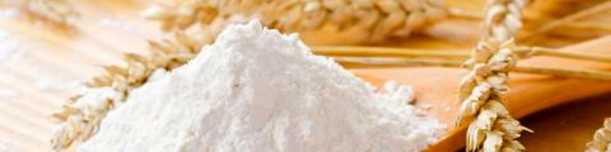 مدیریت زنجیره گندم، آرد و نان به وزارت جهاد واگذار شود/ نفع مافیای واردات از مدیریت دوگانه صمت و جهاد