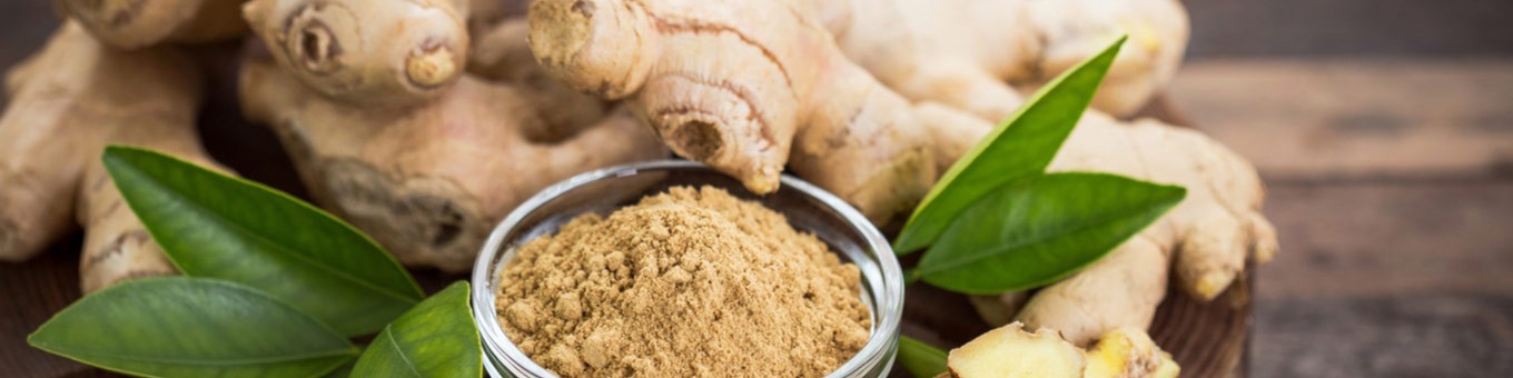 اجرای طرح پایلوت کشت زنجبیل با سایبان‌های نوین