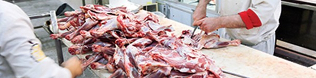 عرضه گوشت ۴۹ درصد بیشتر شد