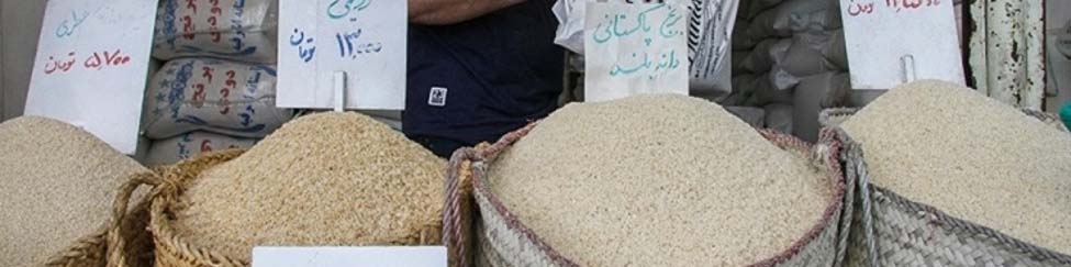 درخواست انجمن واردکنندگان برنج از دولت: اجازه دهید برنج بی‌کیفیت وارد کنیم!
