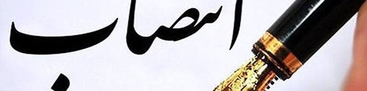 مدیرعامل توانیر منصوب شد