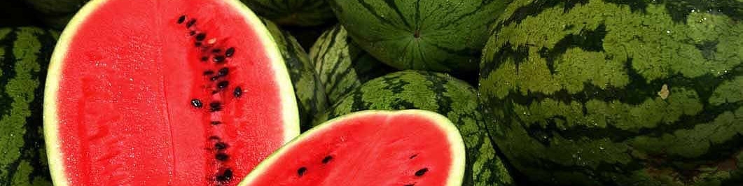 قیمت هندوانه شب یلدا اعلام شد