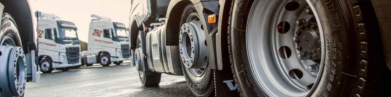 ترخیص کامیون‌های وارداتی به نیمه رسید/سازمان حمایت قیمت‌گذاری کند