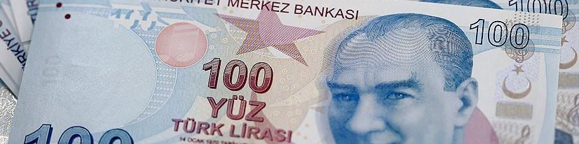 لیر ترکیه گوی ناپایداری را از بیت‌کوین ربود!