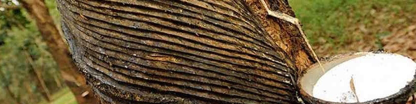 مواد اولیه لاستیک و ترکیبات آن