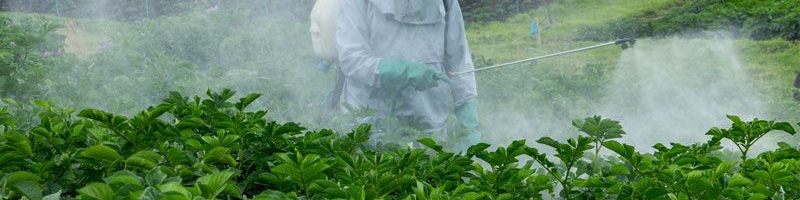 بخش عمده سموم آماده مصرف از کشورهای اروپایی وارد می‌شود