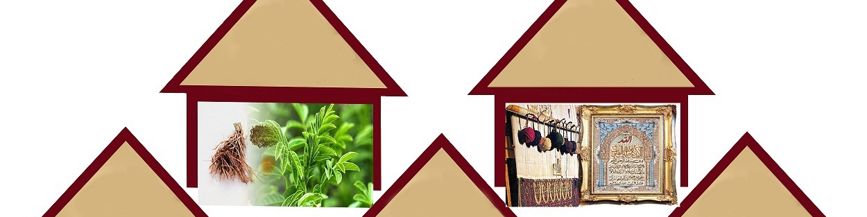 معاون وزیر کار: مجوز مشاغل خانگی سه روزه صادر می‌شود