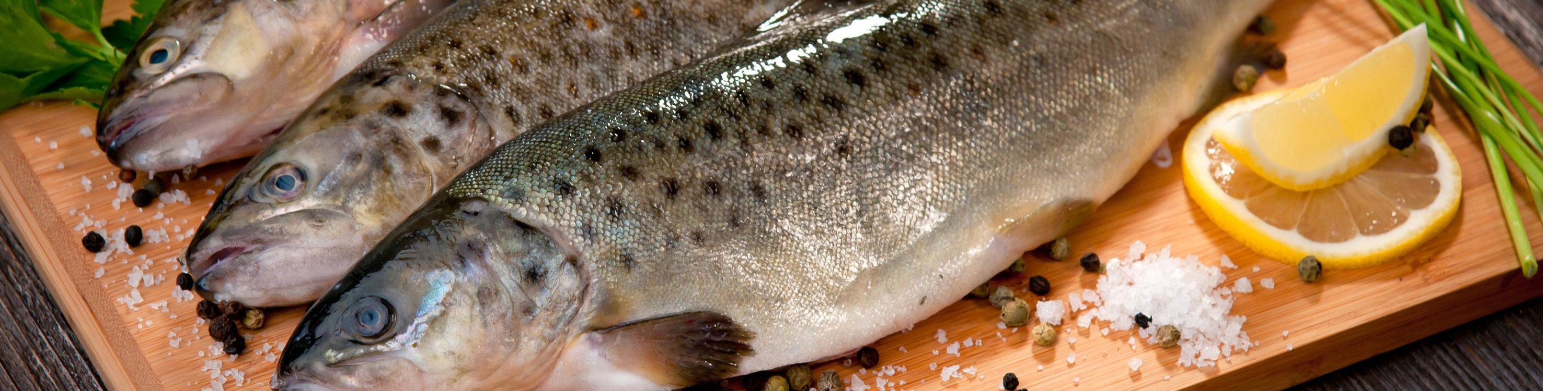 نوسان ۶۸ درصدی قیمت ماهی