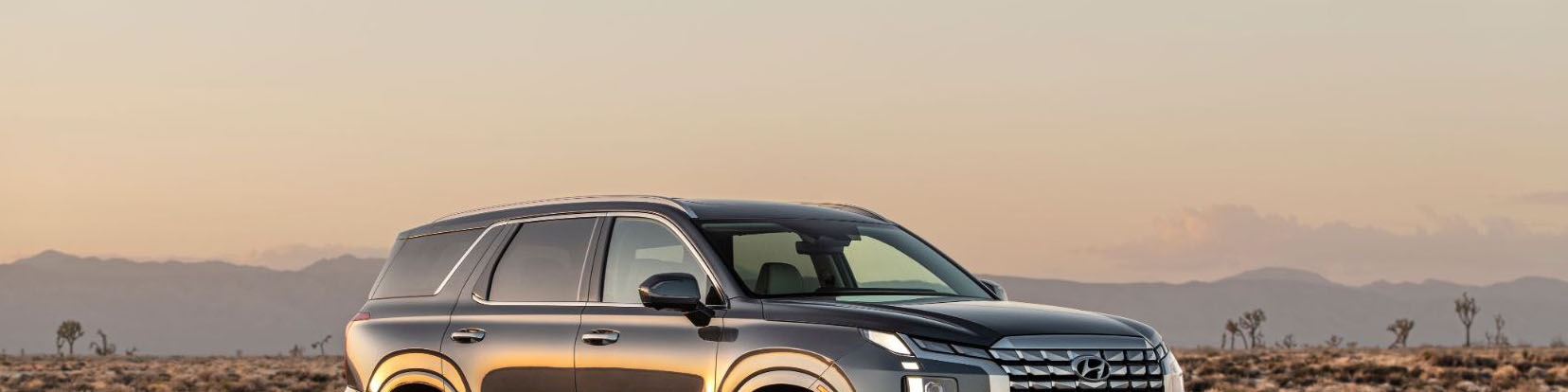 معرفی هیوندای پالیسید 2023، شاسی بلند لوکس هیوندای با قابلیت های آفرودی