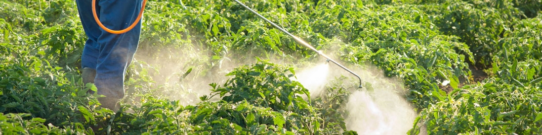 آیا جنگ اوکراین بر واردات کود ایران از روسیه تاثیر داشته است؟