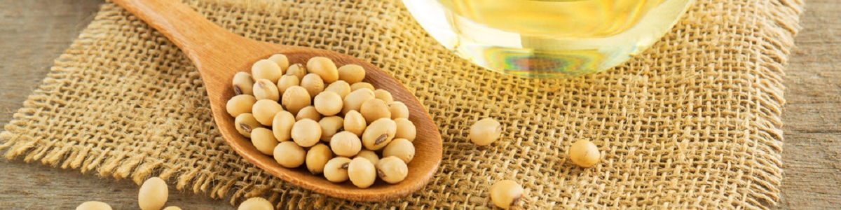 واردات دانه روغنی جایگزین کنجاله آماده شد